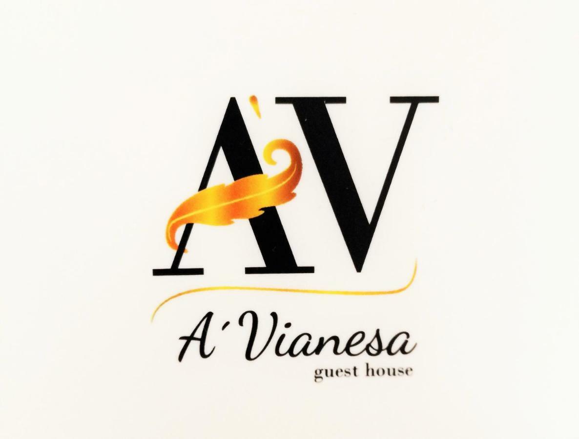 A Vianesa - Guest House Viana do Castelo Zewnętrze zdjęcie